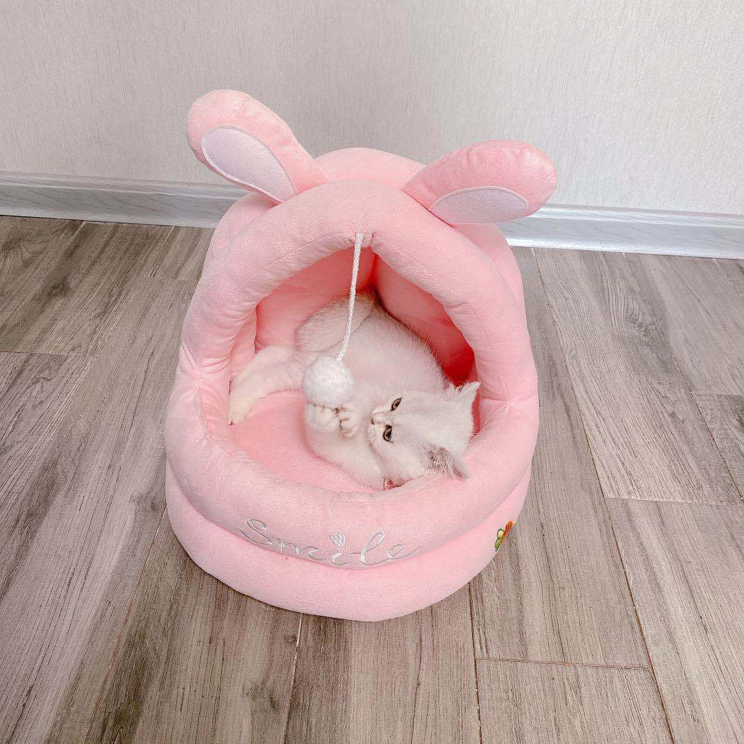 Arena para perros y gatos