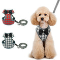 Load image into Gallery viewer, Dog leash
