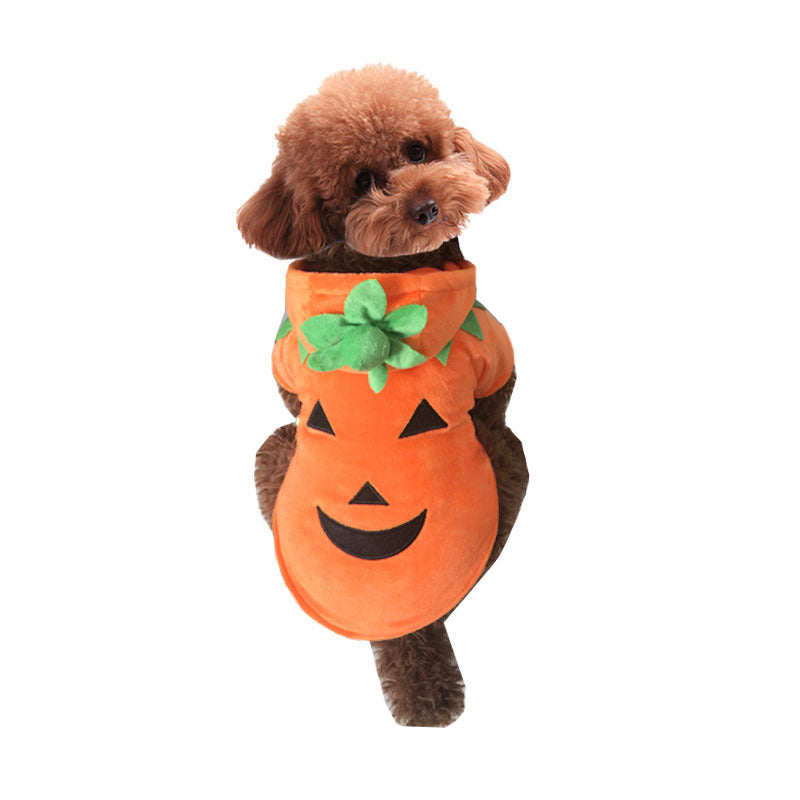 Small brown dog seen from back wearing soft orange pumpkin costume with green accents and smiling pumpkin face