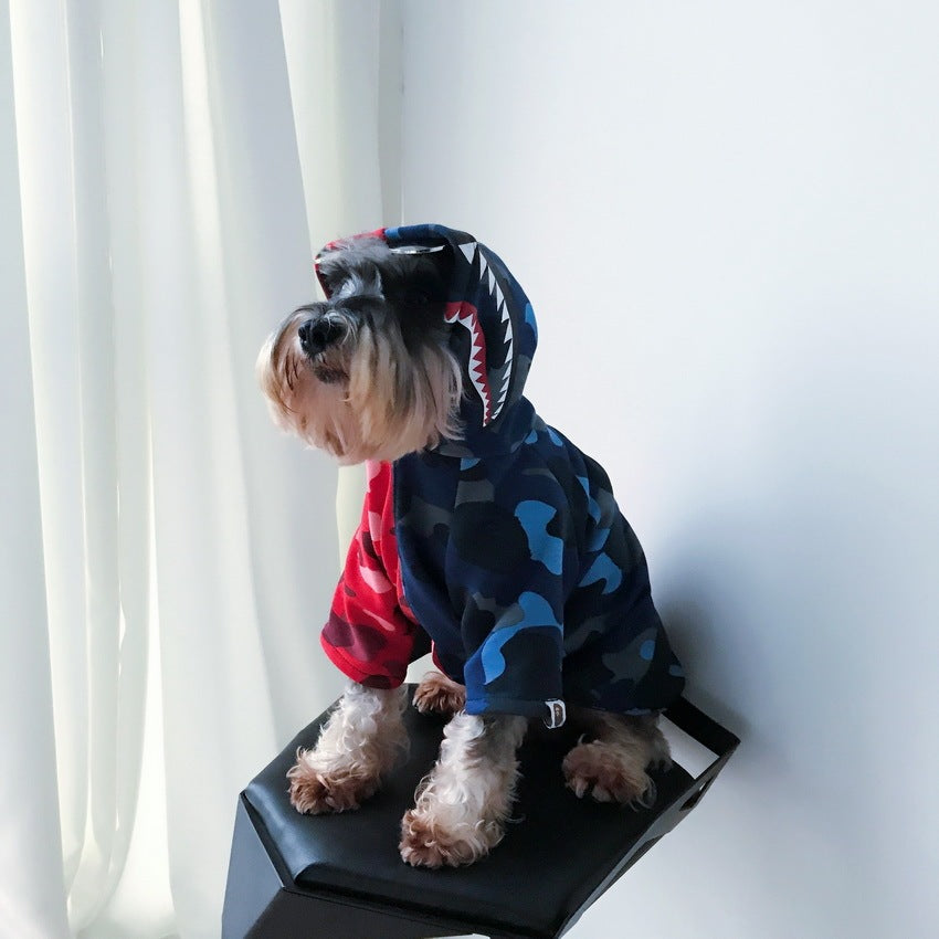 Small dog wearing a camo hoodie with a hood up sitting on a black stool looking up