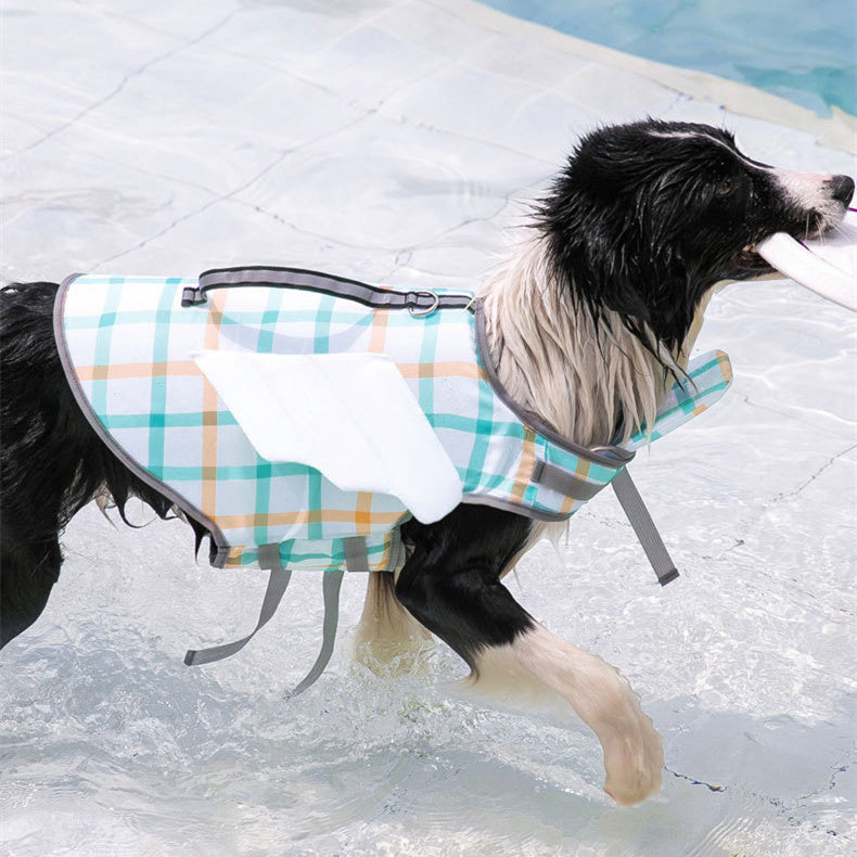 Black and white dog wearing a plaid checkered dog life vest, walking out of the pool carrying a toy