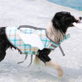 Load image into Gallery viewer, Black and white dog wearing multi-color checkered floatation vest walking out of pool carrying a frisbee
