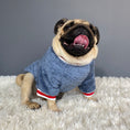 Load image into Gallery viewer, Pet sweater
