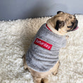 Load image into Gallery viewer, Pet sweater
