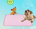 Load image into Gallery viewer, Summer Cooling Mats Blanket Ice Bed Pet Dog For Dogs Cats
