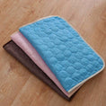 Load image into Gallery viewer, Summer Cooling Mats Blanket Ice Bed Pet Dog For Dogs Cats
