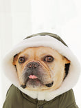 Charger l'image dans la visionneuse de la galerie, Law Fighting Clothes Dog Cotton Winter Pet Clothes Plus Velvet Thickening
