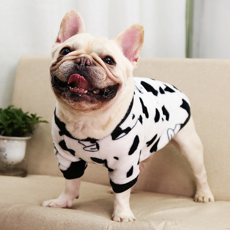 Smiling dog in black and white coral fleece pajamas with cow pattern, standing facing camera