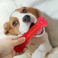 Load image into Gallery viewer, Dog biting red transparent PVC bone toy held by a hand
