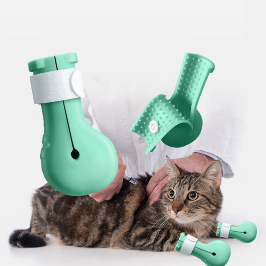 Kitten wearing turquoise silicone nail covers while being examined by a vet