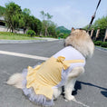 Charger l'image dans la visionneuse de la galerie, Vêtements pour chien Costume de princesse pour chien Labrador Golden Retriever Vêtements pour gros chien

