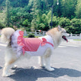 Charger l'image dans la visionneuse de la galerie, Vêtements pour chien Costume de princesse pour chien Labrador Golden Retriever Vêtements pour gros chien

