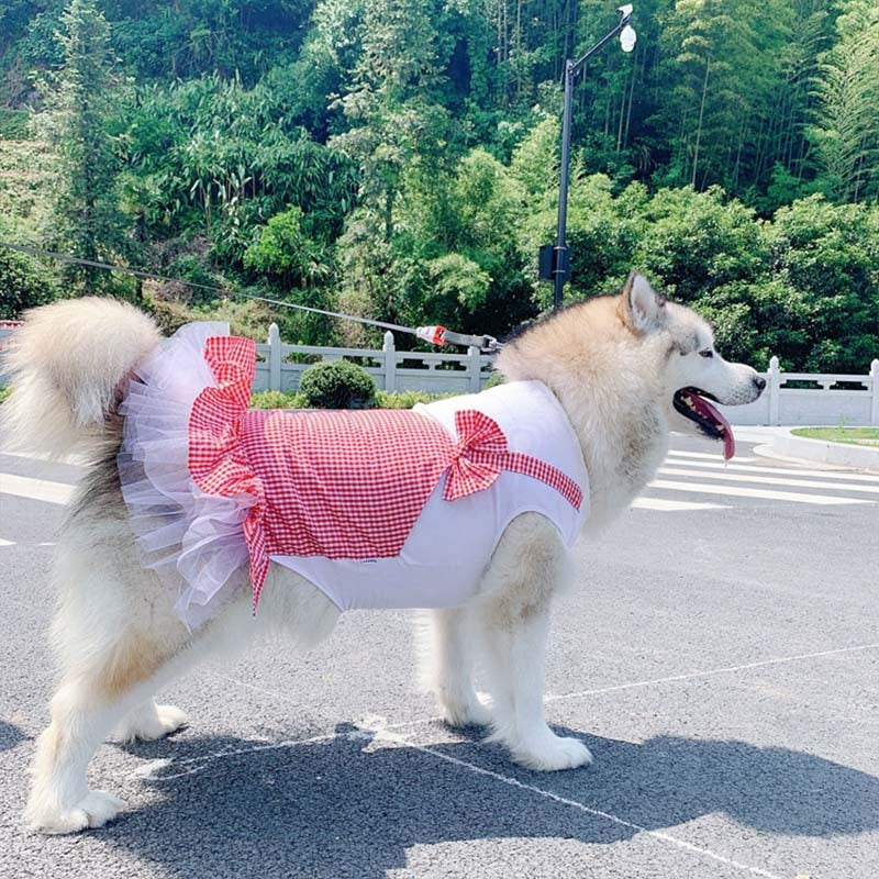 Vêtements pour chien Costume de princesse pour chien Labrador Golden Retriever Vêtements pour gros chien