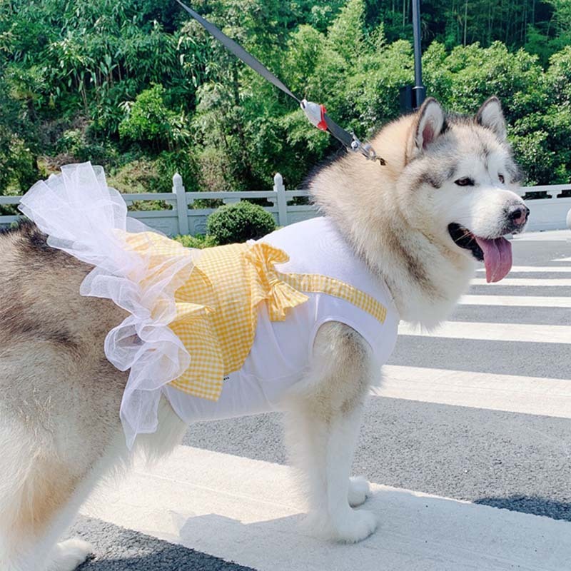 Vêtements pour chien Costume de princesse pour chien Labrador Golden Retriever Vêtements pour gros chien