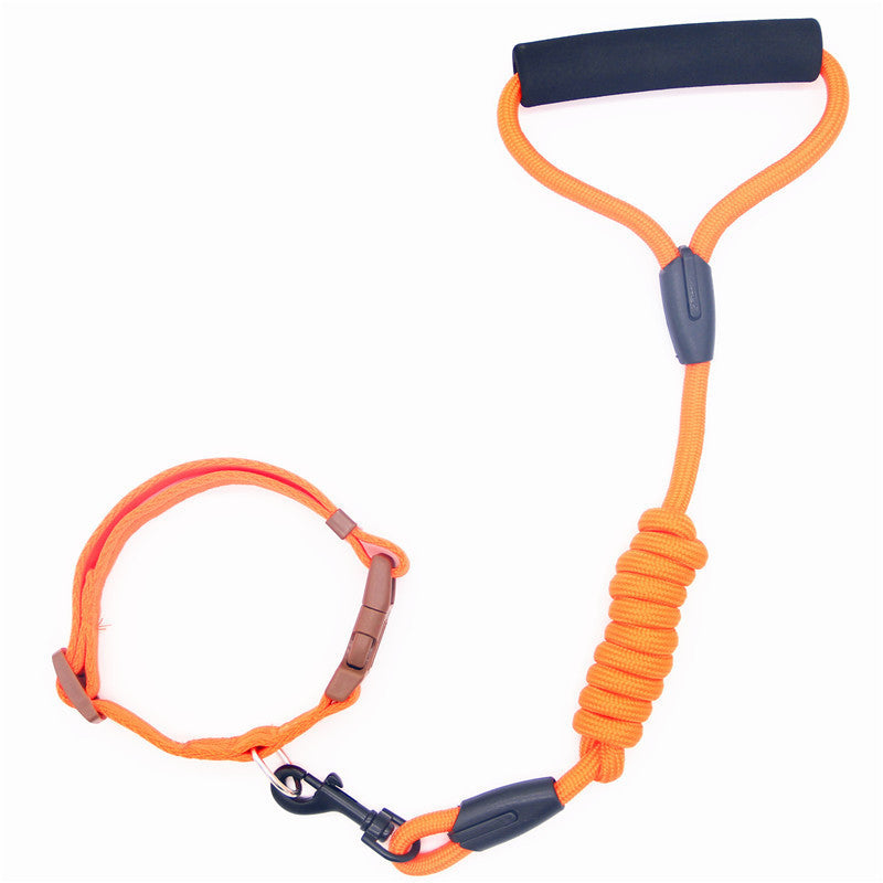 Orange dog leash and collar with foam handle shown on white background