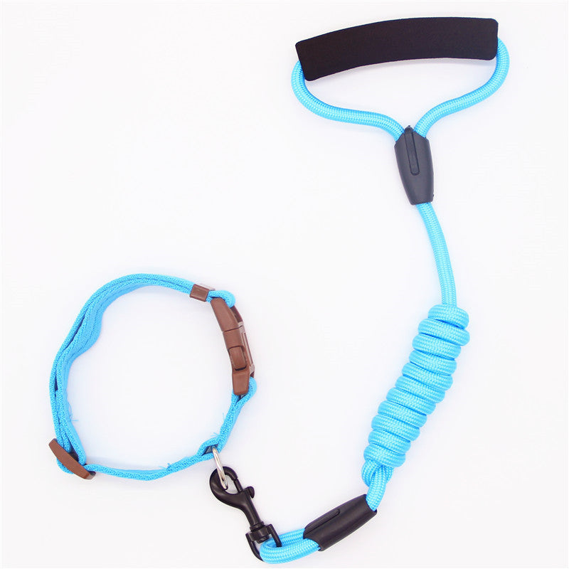 Blue dog leash and adjustable collar with foam handle laid flat