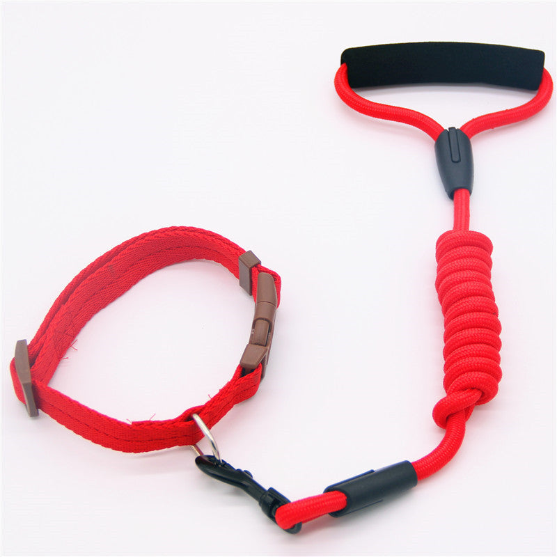 Red dog leash and adjustable collar with foam handle isolated on white