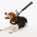 Load image into Gallery viewer, Beagle dog lying down wearing black Halloween harness with bloodied hammer prop on back
