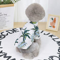 Load image into Gallery viewer, Gray fluffy dog wearing a white tropical pineapple print shirt sitting on a rug
