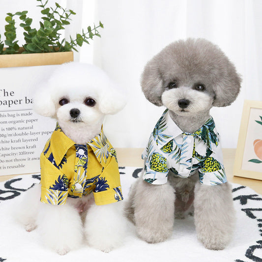 Two small dogs sitting side by side wearing tropical Hawaiian print shirts, one in yellow and one in white