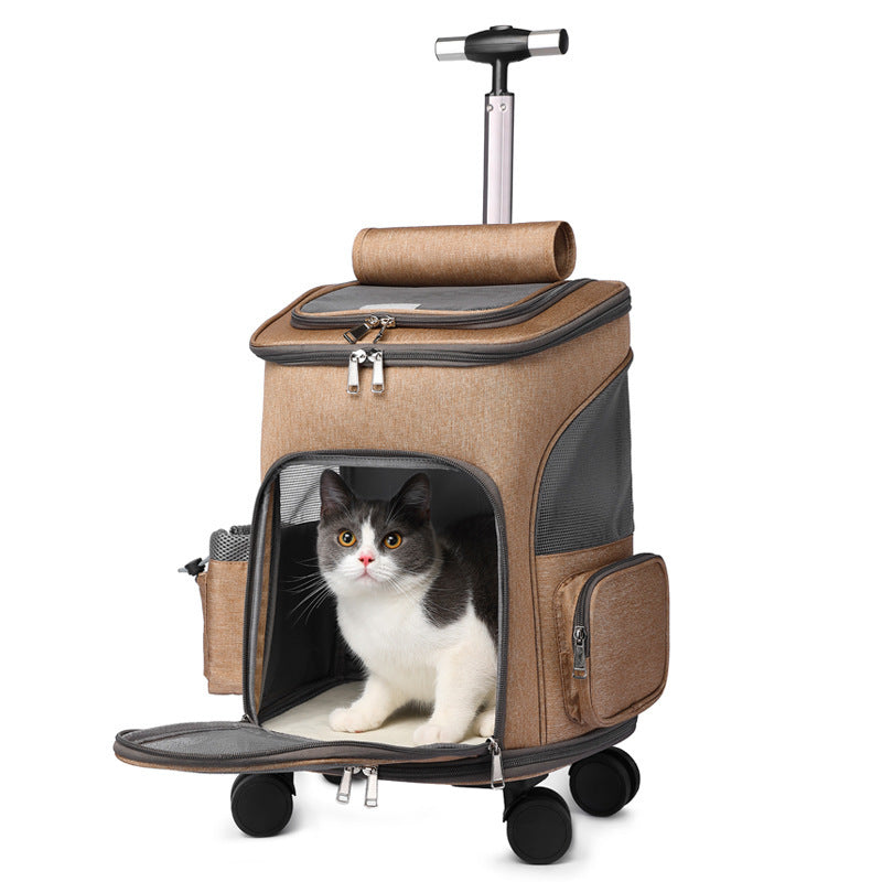 Tan portable trolley pet backpack with cat inside and open front entry door