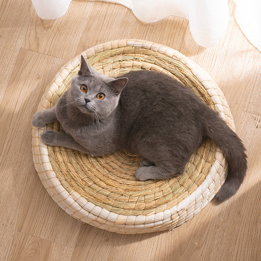 Top view of a gray cat resting inside a circular woven straw cat bed near sheer curtains