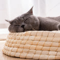 Load image into Gallery viewer, Sleeping gray cat cuddled up in the cushioned edge of a handwoven straw cat bed
