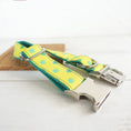 Cargar la imagen en la vista de la galería, Collar and leash set close-up showing quick-release metal buckle and ring
