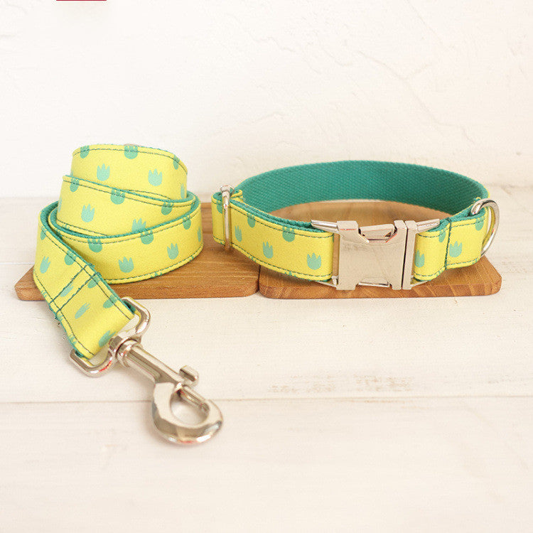 Dog collar and leash set displayed on brown wooden boards