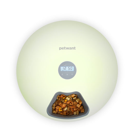 Top view of light green automatic pet feeder with digital display and dry pet food in feeding compartment