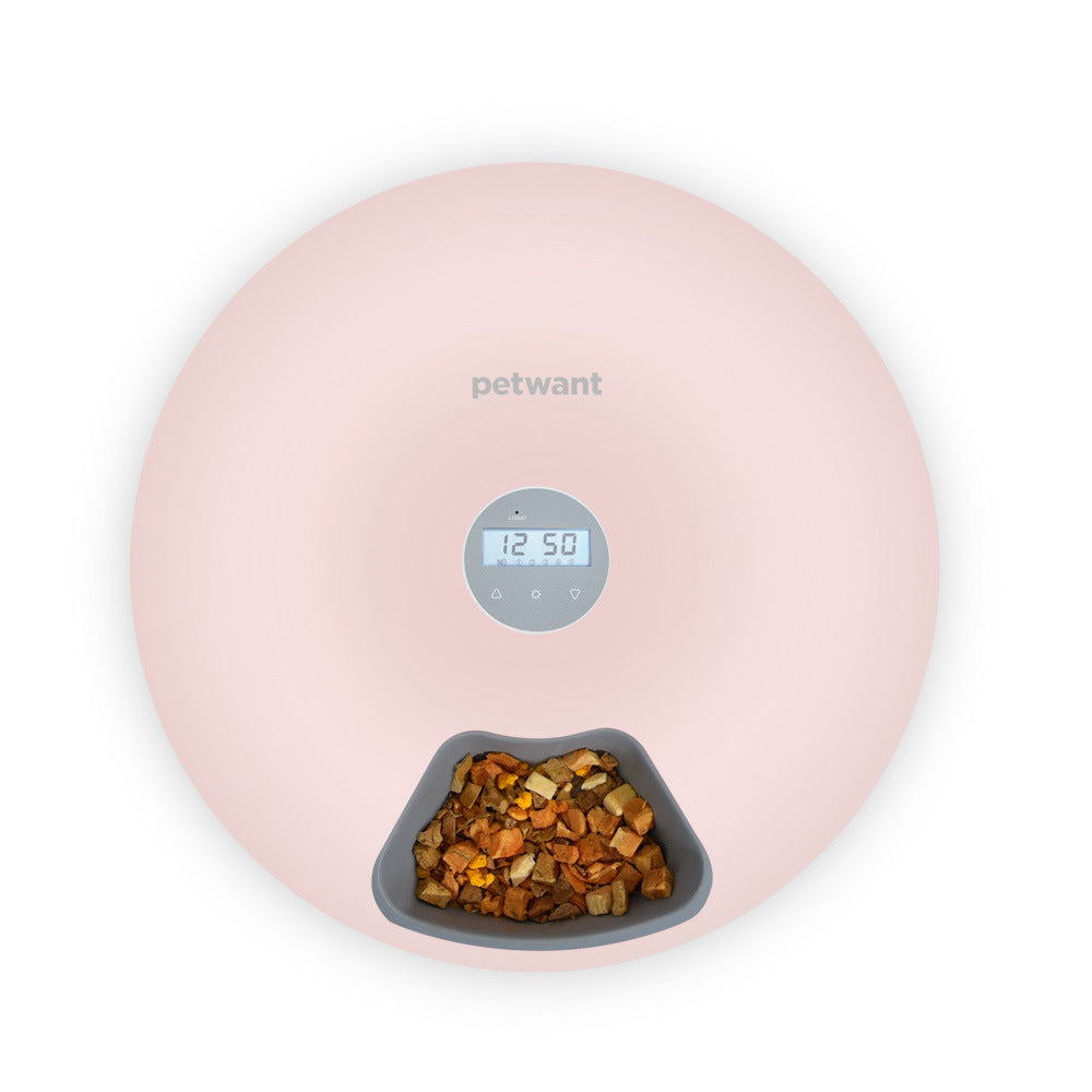 Top view of pink automatic pet feeder with digital screen and dry pet food visible in compartment