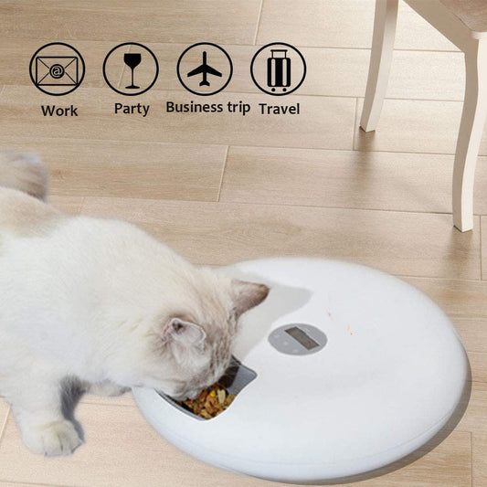 White automatic pet food feeder with cat eating dry food on wooden floor, icons showing work, party, business trip, travel use cases
