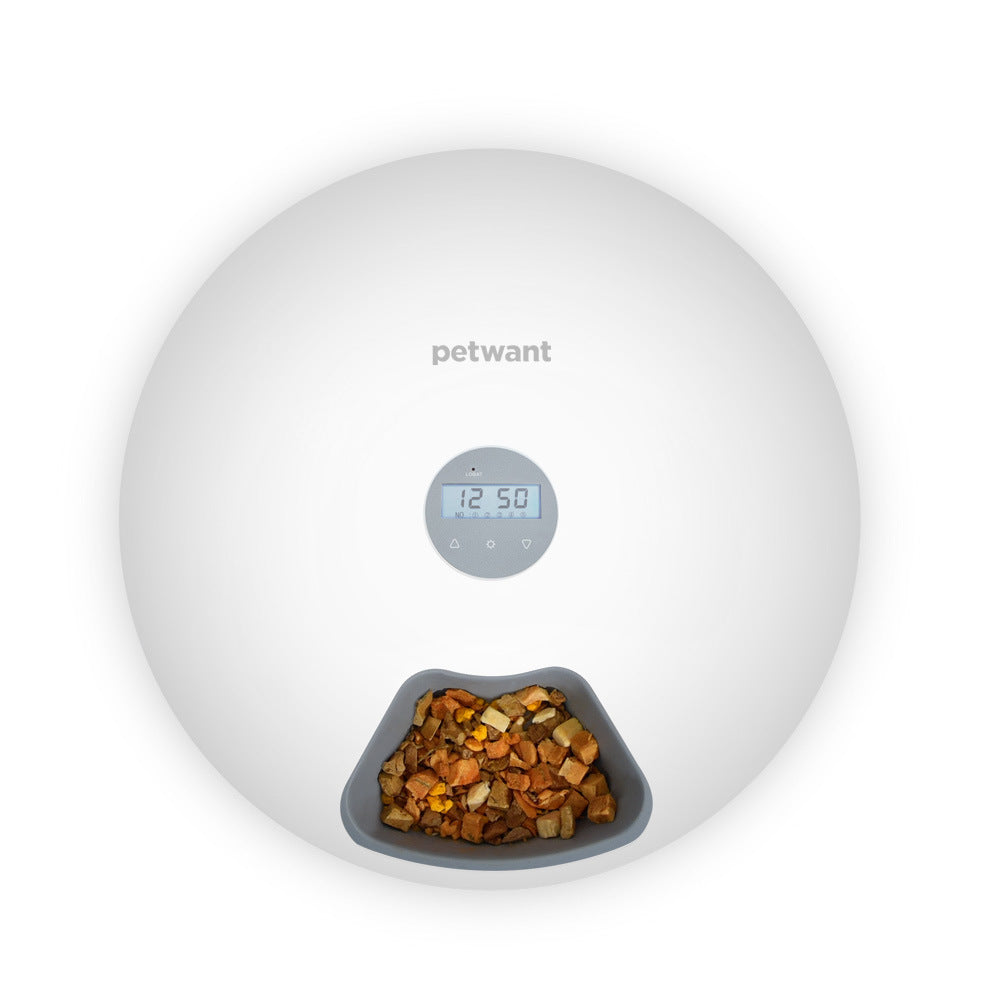 Top view of white automatic pet feeder with digital screen and dry pet food in compartment