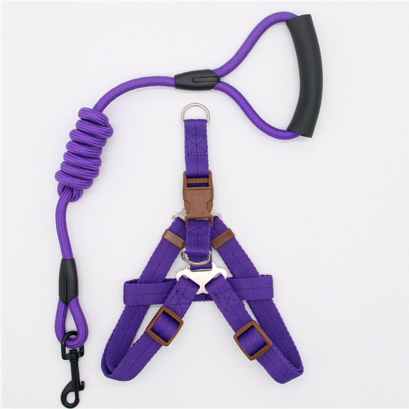 Purple dog harness and leash set laid flat showing adjustable buckles and leash clip