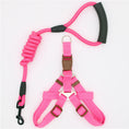 Load image into Gallery viewer, Pink nylon dog harness with adjustable straps and matching shock-absorbing leash with padded handle
