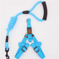 Load image into Gallery viewer, Light blue nylon dog harness with adjustable straps and matching shock-absorbing leash with padded handle
