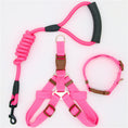 Load image into Gallery viewer, Shock-Absorbing Dog Harness & Leash Set
