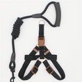 Load image into Gallery viewer, Black nylon dog harness with adjustable straps and matching shock-absorbing leash with padded handle
