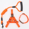 Load image into Gallery viewer, Shock-Absorbing Dog Harness & Leash Set
