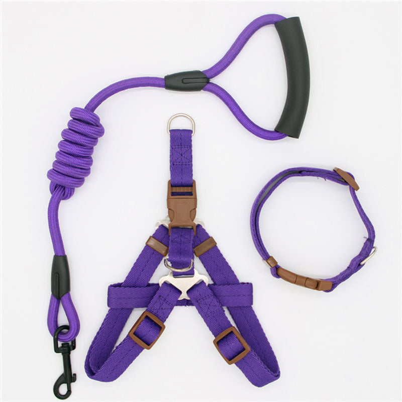 Shock-Absorbing Dog Harness & Leash Set