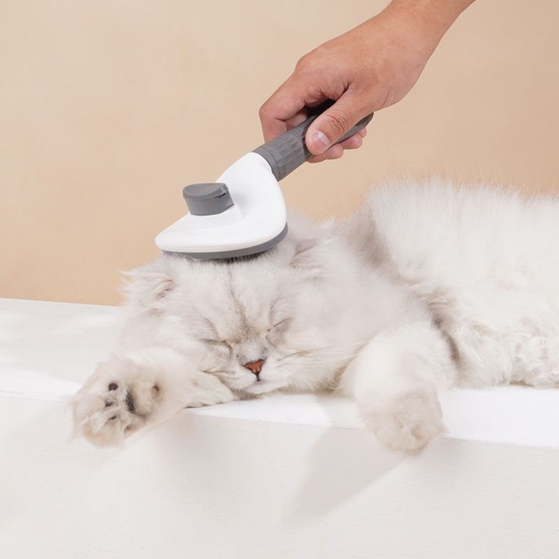 Person grooming a relaxed white cat using the pet hair brush