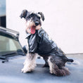 Charger l'image dans la visionneuse de la galerie, Vêtements d'hiver pour animaux de compagnie Vêtements pour animaux de compagnie
