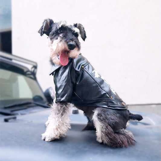 Vêtements d'hiver pour animaux de compagnie Vêtements pour animaux de compagnie