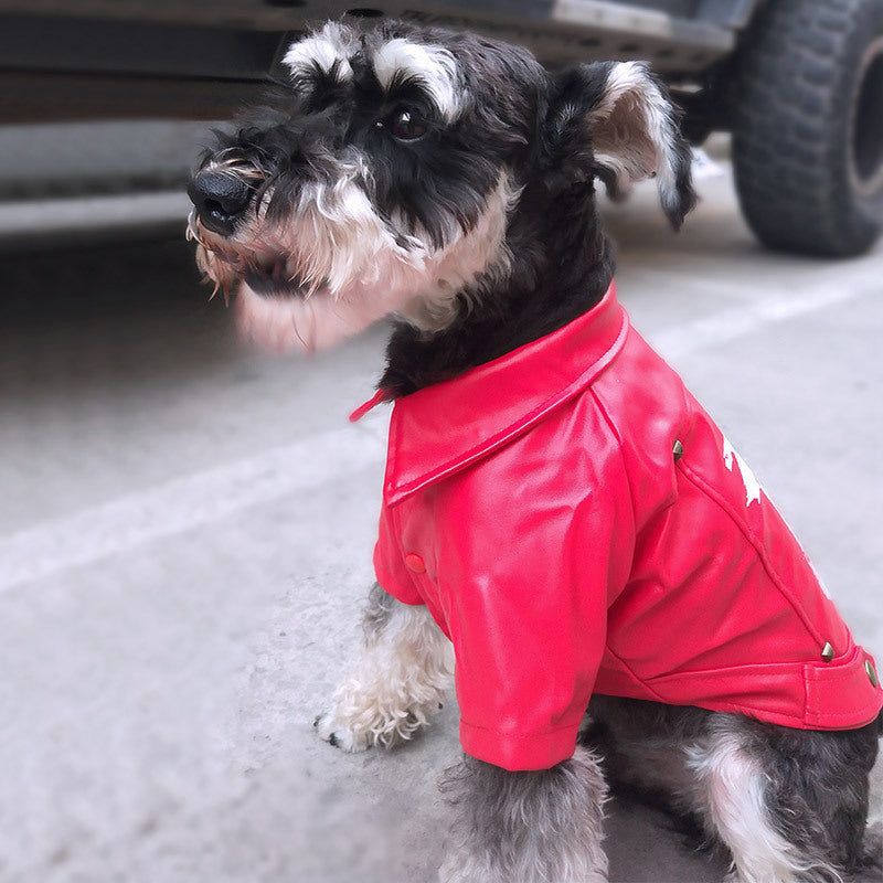 Vêtements d'hiver pour animaux de compagnie Vêtements pour animaux de compagnie