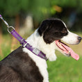 Cargar la imagen en la vista de la galería, Dog Collar Pet Supplies Collar Collar Small
