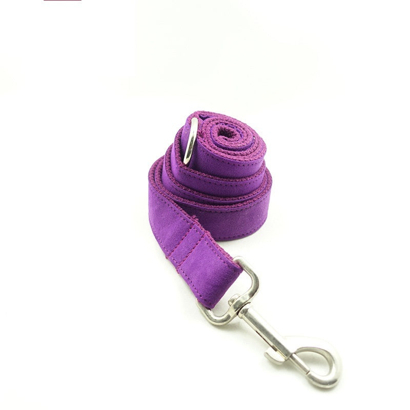 Rolled purple velvet dog leash hung in spiral shape with metal clip on white background.