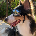 Load image into Gallery viewer, Pet Glasses Dog Sunglasses Law Fighting Supplies Strange Cat Sunglasses Small Dog Goggles Gold Chain Photo Accessories
