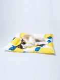 Load image into Gallery viewer, Pet Ice Pad Cooling Pad Gel Cooling Sleeping Pad Non-Sticky Dog Pad
