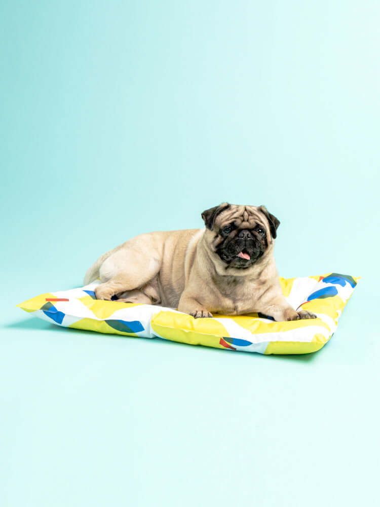 Pet Ice Pad Cooling Pad Gel Cooling Sleeping Pad Non-Sticky Dog Pad