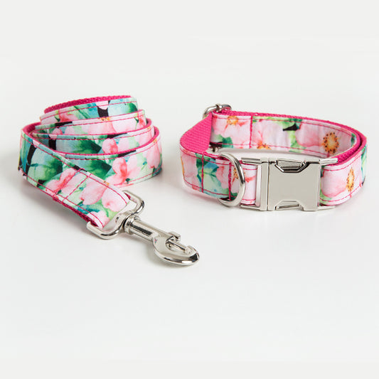Complete floral dog collar and matching leash set with sturdy clasp